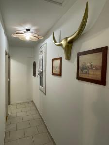 Appartements Le Faubourg des Trois Provinces, Zoo de Beauval : photos des chambres