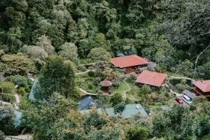 Trogon Lodge - División