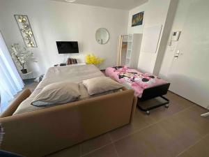 Appartements Proche Disney et Paris - Studio terrasse et parking prive : photos des chambres