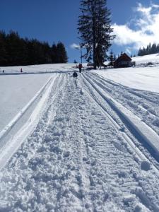 Zlatna Jabuka apartman