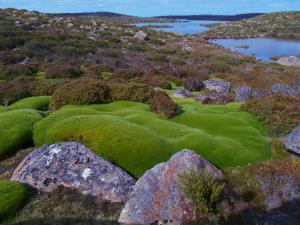 1247 Lake Augusta Road, Liawenee, Tasmania, Australia.