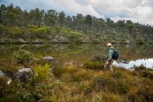 1247 Lake Augusta Road, Liawenee, Tasmania, Australia.