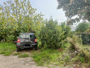 Un bel appartement rez jardin parking gratuit