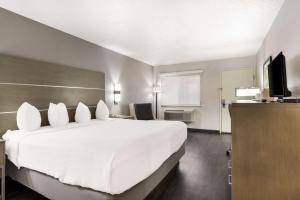 King Room - Mobility Accessible/Non-Smoking room in SureStay Hotel by Best Western Grants