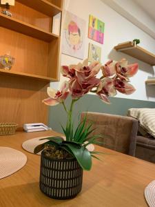 Apt beira-mar Cabo Branco