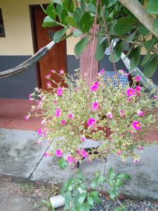 Pousada Sol das Amendoeiras cafe da manha grátis