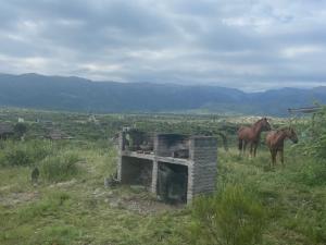 Descanso, aventura y ecoturismo en las sierras