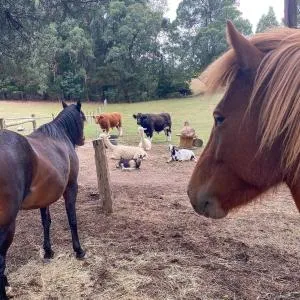Nurture Creek - Macclesfield