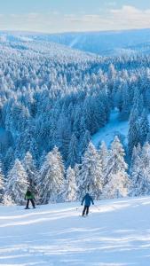 Appartements Gite de Montagne 