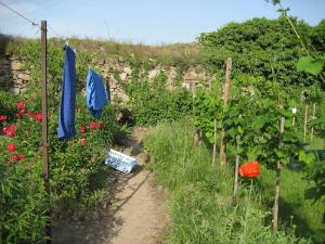 Maisons de vacances Les Hirondelles : photos des chambres