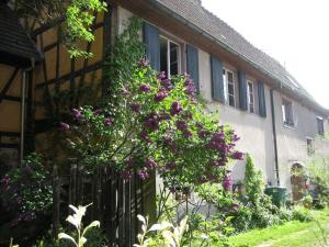 Maisons de vacances Les Hirondelles : photos des chambres