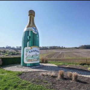 Maisons de vacances Gite en champagne Le Sarment : photos des chambres