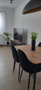 Apartament Asnyka Centrum