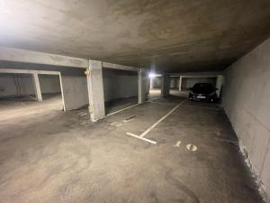Appartements Appart 250m des pistes et parking couvert privatif : photos des chambres