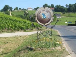 Maisons de vacances Gite en champagne Le Sarment : photos des chambres