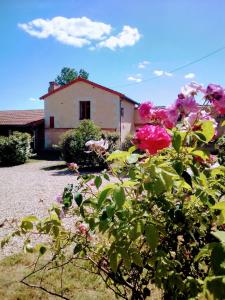 Maisons de vacances Au repos des elfes : photos des chambres