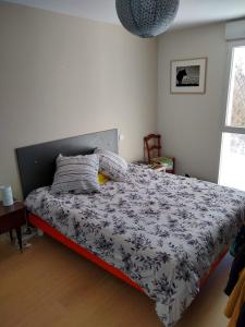 Appartements Cosy & bright apartment downtown Rodez - Bourran : photos des chambres