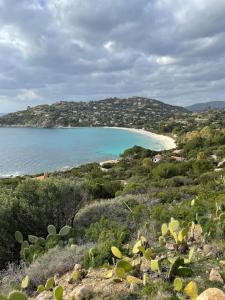 Accogliente casa a due passi dal mare. img14