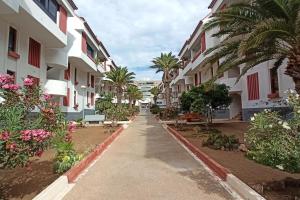 Altemar in las Américas