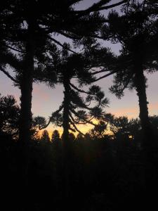 Lof Araucárias próx Rua Coberta by Achei Gramado