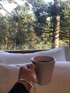 Lof Araucárias próx Rua Coberta by Achei Gramado