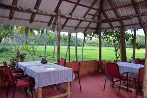 Doctors Ayurveda Heritage