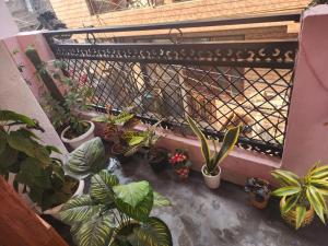 Homlee-Best Value flat with kitchen Near Metro