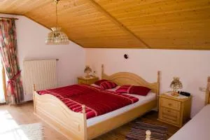 Ferienhaus Böck - Haus Karg - 塞格