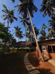 Doctors Ayurveda Heritage