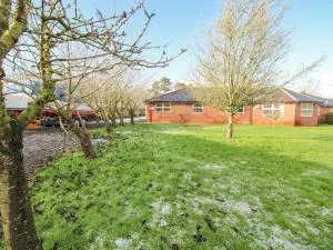 Blackwater Meadows - 埃尔斯米尔