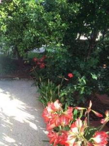 Apartments Villa Tanja