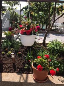 Apartments Villa Tanja