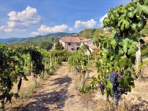 Appartamento Dolcetto in Cascina Marenco Langhe Country House