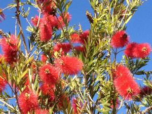 Villa Bulcrini img41