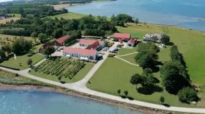 Borre Knob Fjordhotel - Amstrup