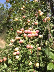 Villa Bulcrini img47