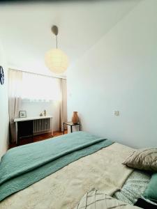 Positive Olive Apartment