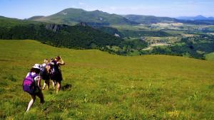 Villages vacances VVF Montpeyroux Auvergne : photos des chambres