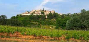 B&B / Chambres d'hotes La Vita Dolce, Luberon : photos des chambres