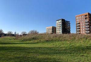 Burgess Park Penthouse