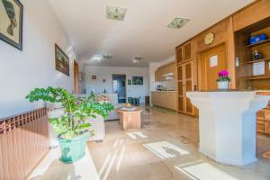 Apartments Grand & Plav in Krk 
