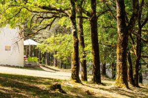 Villages vacances Les Bois De Prayssac : photos des chambres