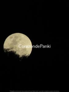 Corazon de Panki