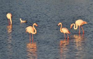 Appartamento Vacanza img17