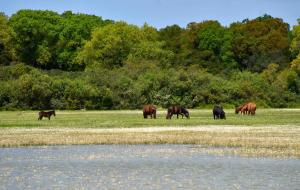 Appartamento Vacanza img18