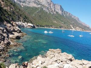 Dommu Biddasusu img26