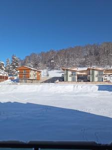 snow forest bakuriani apartment eight