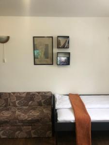 Ski sun and fun kopaonik apartmani