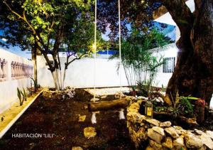 Departamentos Ileana