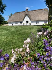 Reetdachhaus, Sauna, E-Bikes, 6 Personen